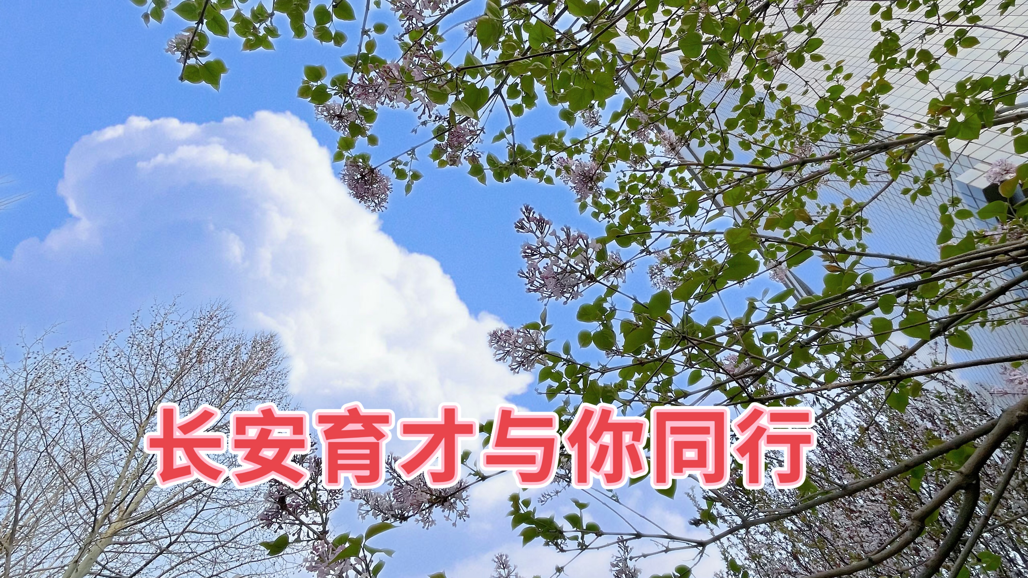春分‖春日好時(shí)光，攜手共同行